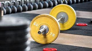 Image result for Barble Weights
