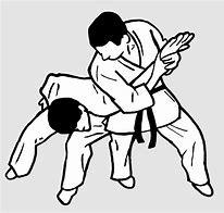 Image result for Jiu Jitsu Outline
