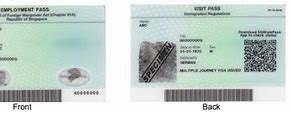 Image result for Singapore Employment Pass
