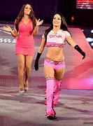 Image result for WWE Nikki Bella Dress