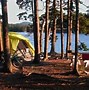 Image result for Acadia National Park Campground Map