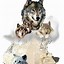 Image result for Wolf Galexy GIF