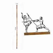 Image result for Indian Martial Arts