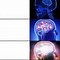 Image result for Brain Chart Meme