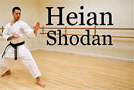 Image result for Back Stance Heian Shodan