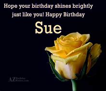 Image result for Happy Birthday Sue Meme