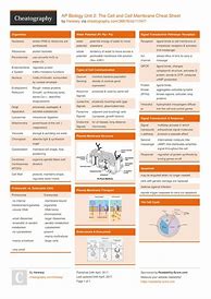 Image result for Science Cheat Sheet