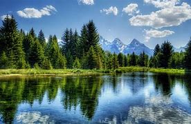 Image result for Landscape Home Screen