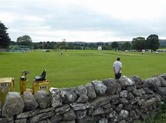 Image result for Cricket Pitch Cartoon