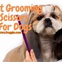 Image result for Grooming Scissors