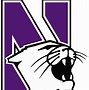 Image result for Wildcat SVG Free