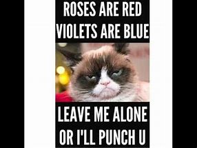 Image result for Grumpy Cat Memes Roses Are Red