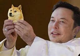 Image result for Elon Musk Dogecoin Meme