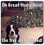 Image result for Funny Co-Worker Christmas Cards