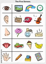 Image result for Five Senses Sight Worksheet