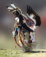 Image result for Native American Male in Regalia