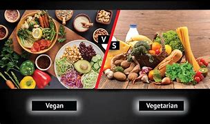 Image result for vs the World Vegan