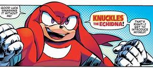 Image result for Knuckles the Echidna Punching