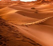 Image result for Sahara Desert Computer Wallpaper
