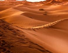 Image result for Sahara Desert Background