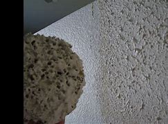 Image result for Sponge Texture Walls
