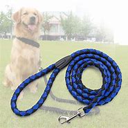 Image result for Nylon Rope Dog Leash