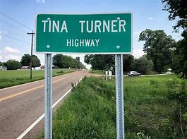 Image result for Lizzo Tina Turner