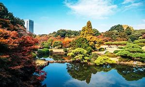 Image result for Tokyo Park