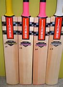 Image result for Gray Cricket
