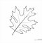 Image result for Leaf Cut Out for Kids to Decorate