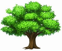 Image result for Family Tree Background