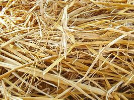 Image result for Cartisian Straw