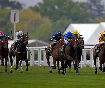 Image result for Racing Pattern Ascot