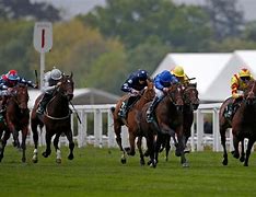 Image result for Racing at Ascot Today