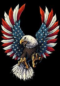 Image result for American Eagle Drawing