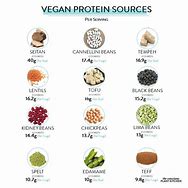 Image result for Vegan Protein Sources
