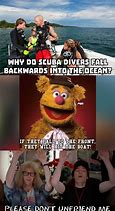 Image result for fuzzy bear memes