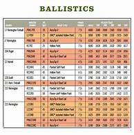 Image result for 22 250 vs 243 Ballistics Chart