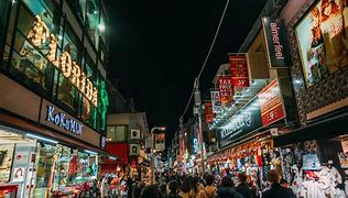 Image result for What to See in Tokyo