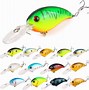 Image result for Different Types of Fishing Lures