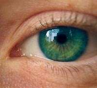 Image result for Cyan Eyes