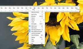 Image result for Desktop Screen Ruler