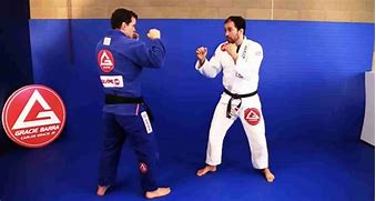 Image result for Striking Martial Arts Styles
