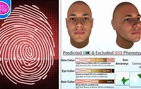 Image result for Fingerprint Graphic