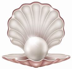 Image result for Pink Pearl PNG
