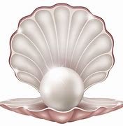 Image result for Clam PNG