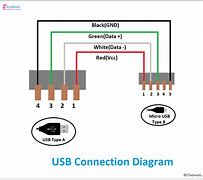 Image result for Chinch USB Diagram