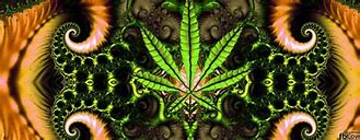 Image result for Marijuana Cover