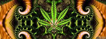 Image result for Marijuana Cover