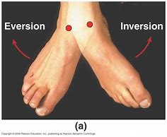 Image result for Inversion Movement